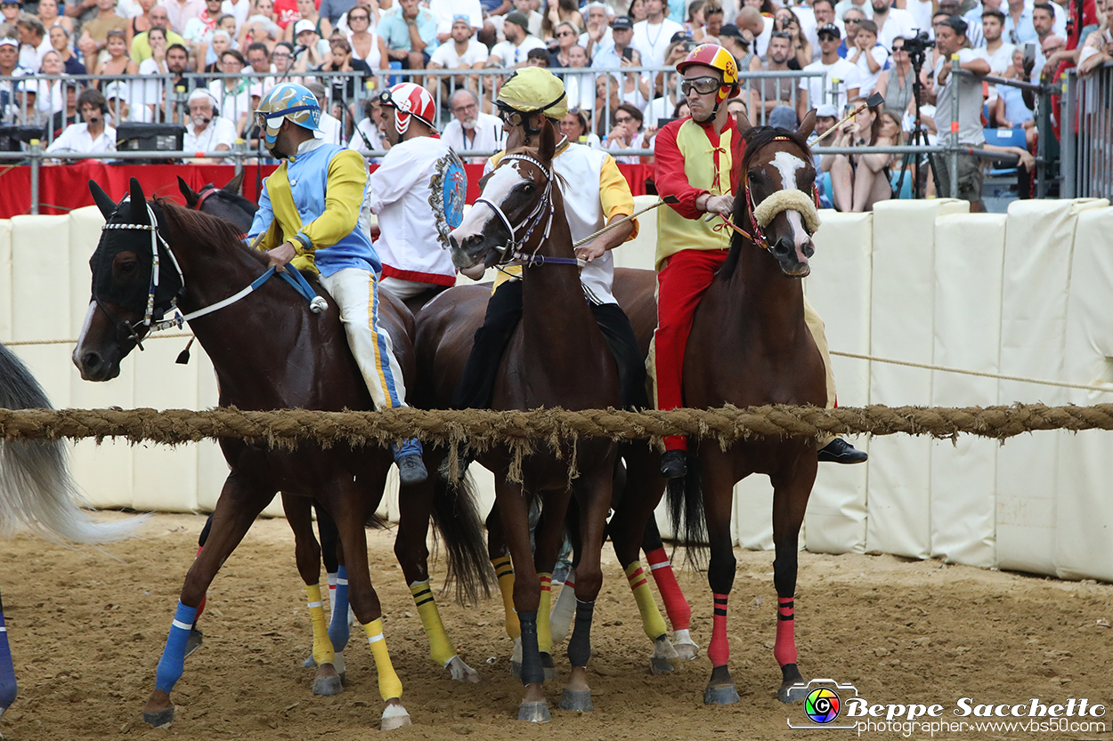 VBS_1203 - Palio di Asti 2024.jpg